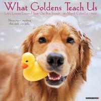 What Goldens Teach Us 2022 Wall Calendar (Golden Retriever Dogs, Dog Breed)