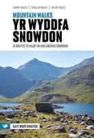 Snowdon