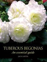 Tuberous Begonias