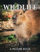 A Picture Book of Wildlife