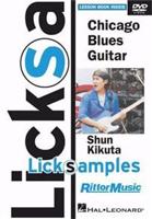 Shun Kikuta: Lick Samples - Chicago Blues Guitar