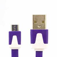 Raspberry Pi Micro USB Noodle - Purple