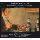 Schumann: Piano and Chamber Music, Vol 6
