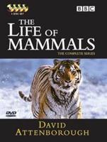 David Attenborough: The Life of Mammals - The Complete Series