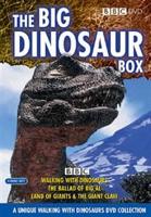 Big Dinosaur Box