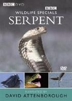 Wildlife Special: Serpent