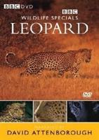 Wildlife Special: Leopard - The Agent of Darkness