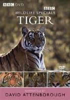 Wildlife Special: Tiger - The Elusive Princess