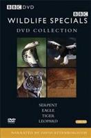 Wildlife Special Collection
