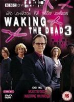 Waking the Dead: Series 3