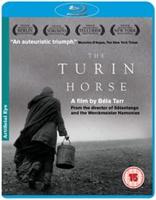 Turin Horse