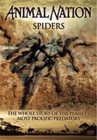 Animal Nation: Spiders - The Whole Story