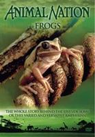 Animal Nation: Frogs - The Whole Story