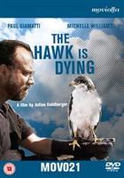 Hawk Is Dying