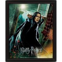 Harry Potter (Deathly Hallows Snape) - Framed