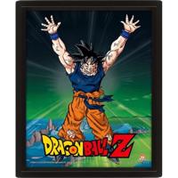 Dragon Ball Z (Power Levels Increased) - Framed