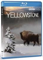 Yellowstone: Tales from the Wild