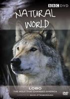 Natural World: Lobo - The Wolf That Changed America
