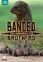 Banded Brothers - The Mongoose Mob
