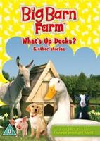 Big Barn Farm: What&#39;s Up Ducks?