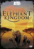 Africa&#39;s Elephant Kingdom