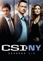 CSI New York: Seasons 1-3