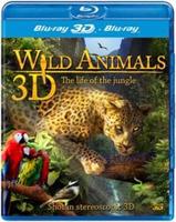 Wild Animals - Life of the Jungle