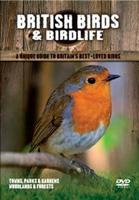 British Birds and Birdlife: Volume 1