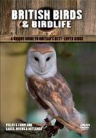 British Birds and Birdlife: Volume 2