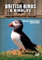 British Birds and Birdlife: Volume 3