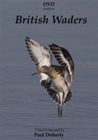 British Waders