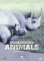 Safari: Endangered Animals