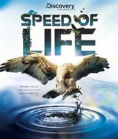 Speed of Life