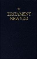 Testament Newydd Diwygiedig, Y