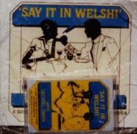 'Say It in Welsh' - A Guide to Simple Welsh Phrases and Pronunciation (Set)