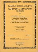 Caneuon a Deuawdau Enwog (9009)