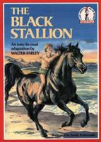 The Black Stallion