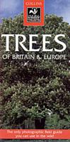 A Photographic Guide to the Trees of Britain and Europe