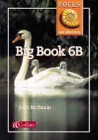 Big Book 6B