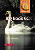 Focus on Literacy (40) - Big Book 6C