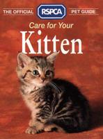 Care for Your Kitten