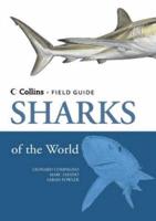 A Field Guide to the Sharks of the World
