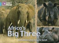 Africa's Big Three