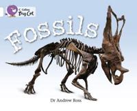 Fossils Workbook