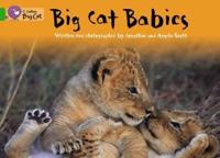 Big Cat Babies