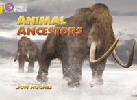 Animal Ancestors