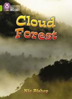 The Cloud Forest