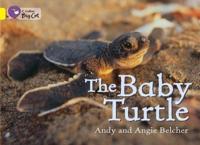 The Baby Turtle