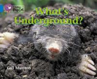 What's Underground