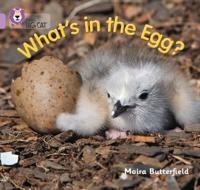 What's in the Egg?